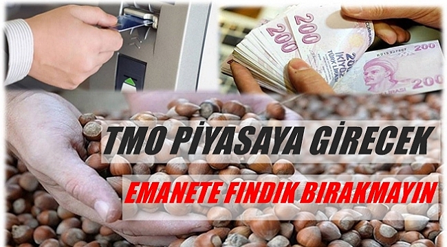 Bayraktar: Fındık 15 TL'yi aşacaktır