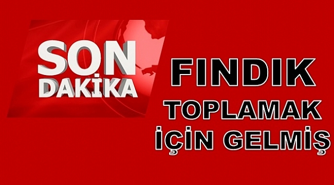 Otomobilin altında kalan çocuk öldü