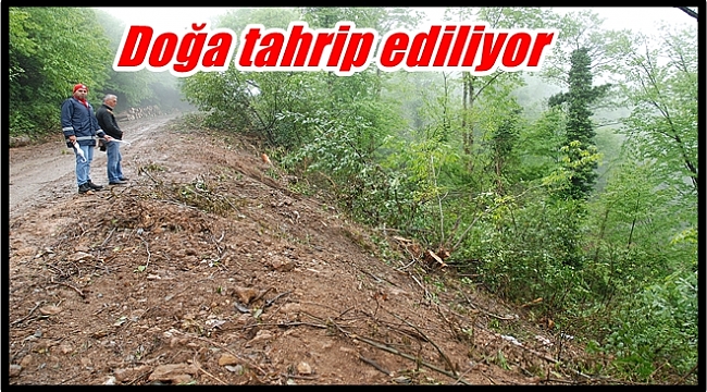 Sondaj çalışmaları çevreyi etkiliyor