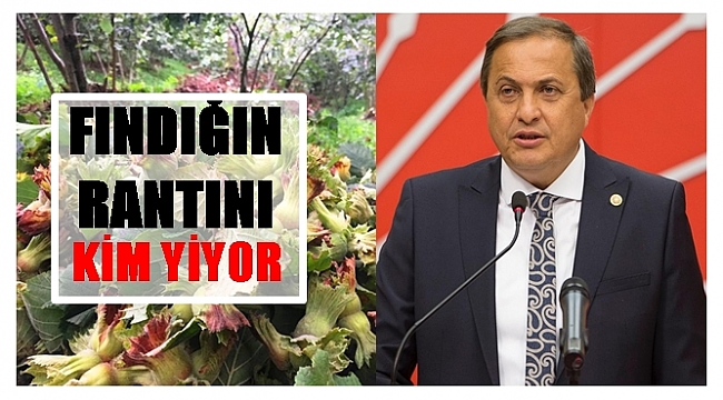 Torun: Fındık üreticisi çaresiz değildir