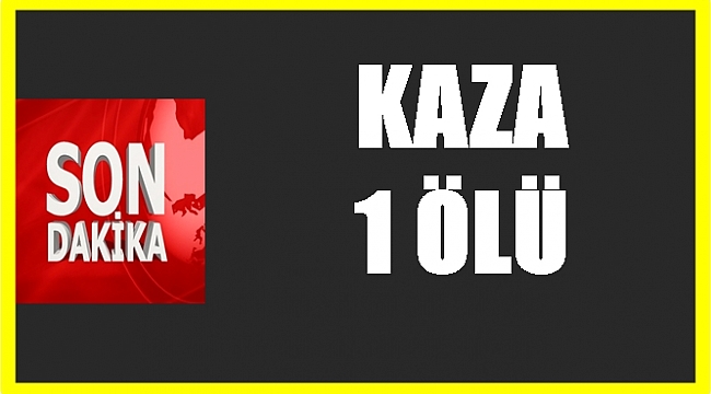 Yolu karşıdan karşıya geçerken yaşamını kaybetti