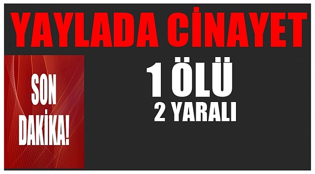 1 Kişi öldü 2 kişi yaralandı