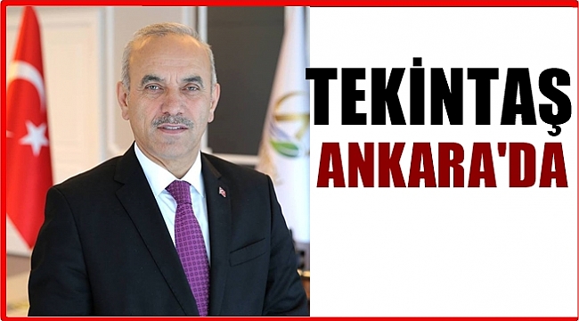 AK Parti Genel Merkezi Tekintaş'ı Ankara'ya çağırdı