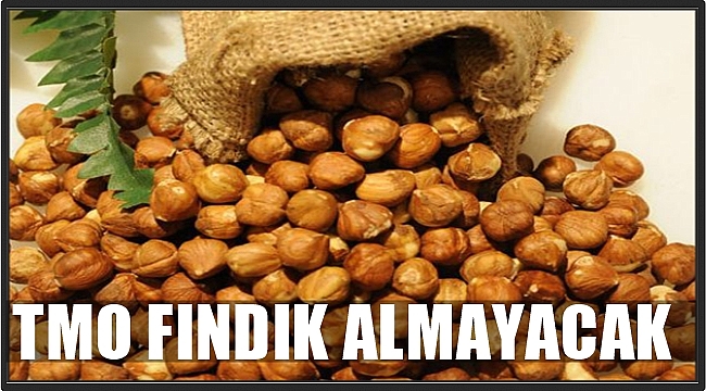 BAKAN TURHAN'DAN FINDIKLA İLGİLİ FLAŞ AÇIKLAMA