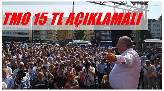 Enginyurt fındığı tek başına savunuyor