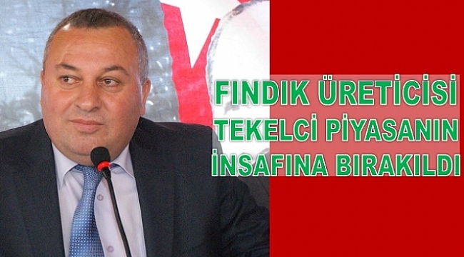 Enginyurt fındık için meydanlarda