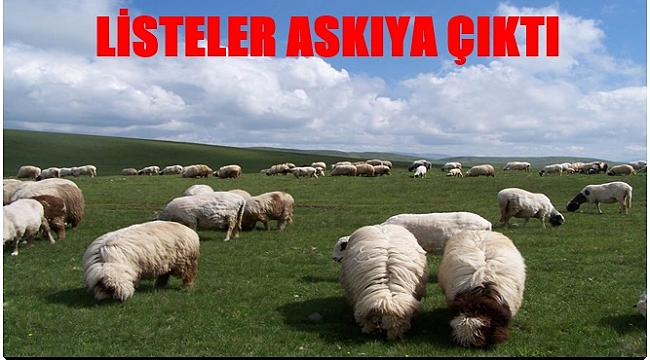 Meralarda ıslah çalışması tamamlanıyor