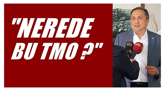 Torun: Fiyatı artmayan tek şey fındık