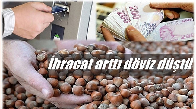 Türkiye 1 yılda fındıktan ne kadar döviz kazandı