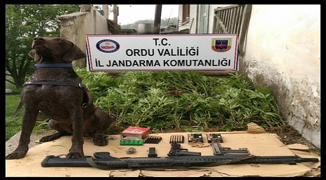 6 kişiden 3'ü tutuklandı