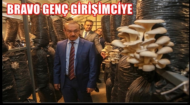 DESTEK ALDI İSTİRDYE MANTARI ÜRETMEYE BAŞLADI