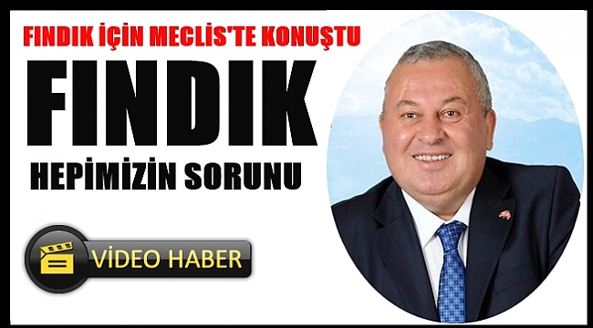 Enginyurt fındık için neler söyledi?
