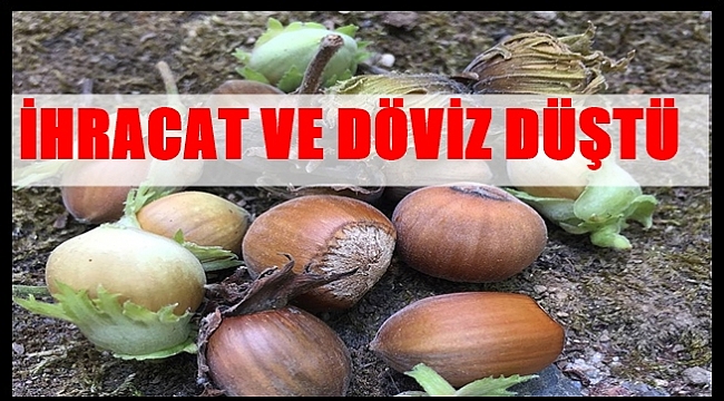 Fındıkta kim kazanıyor?