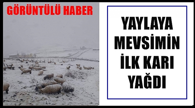 Ordu'da yüksek bölgelere kar yağdı