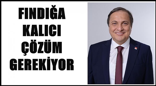 Torun: Hükümet fiyat açıklamada çok geç kaldı