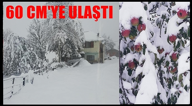 Yaylalar beyaza büründü