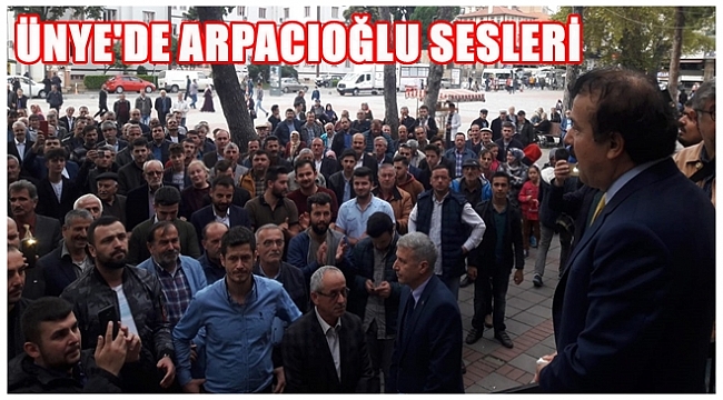 Arpacıoğlu Ünye'ye aday