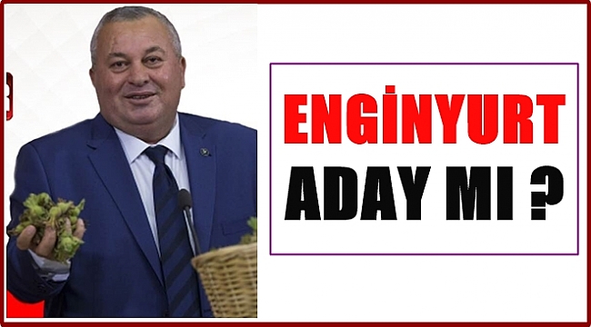 Enginyurt: 12 ilçeyi alacağız