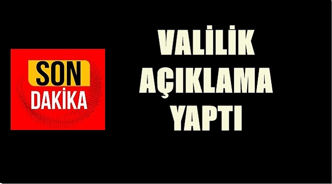 Kedinin ölüm nedeni belli oldu