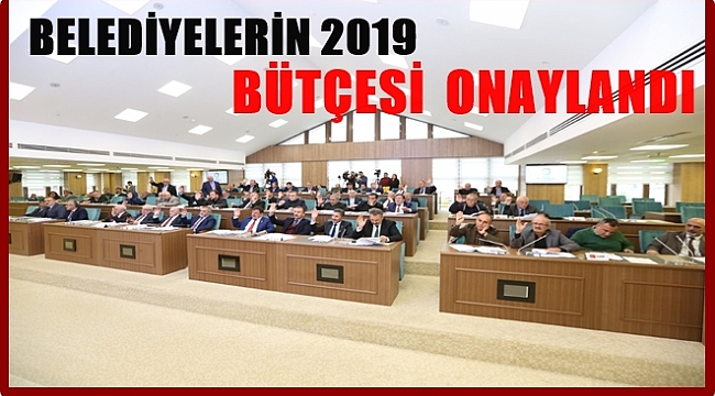 Ordu Büyükşehir Belediyesi'nin 2019 yılı bütçesi ne kadar oldu