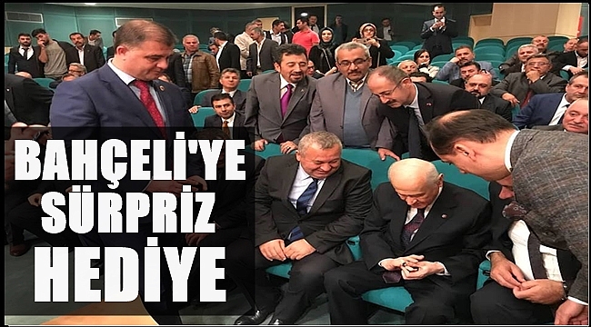 Ordulu MHP'lilerden Ankara çıkartması