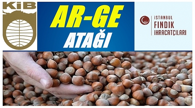 Hedef fındkta kalite ve verimi arttırmak