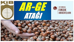 Hedef fındkta kalite ve verimi arttırmak