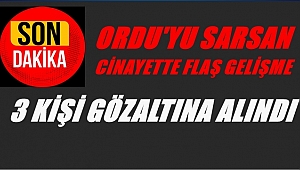 Iraklılar cinayeti neden işledi?