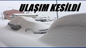 Kar yağışı etkili oluyor
