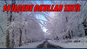 Kar yağışı nedeniyle eğitime 1 gün ara verildi