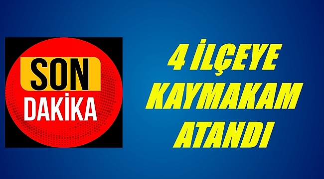 Ordu'da 4 ilçeye kaymakam atandı