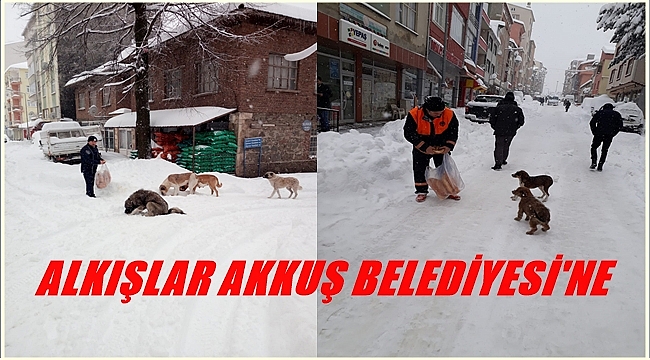 Soğuk kış gününde sokak köpeklerini unutmadılar