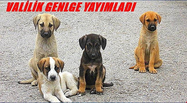 sorumluluklarını yerine getirmeyenlere soruşturma