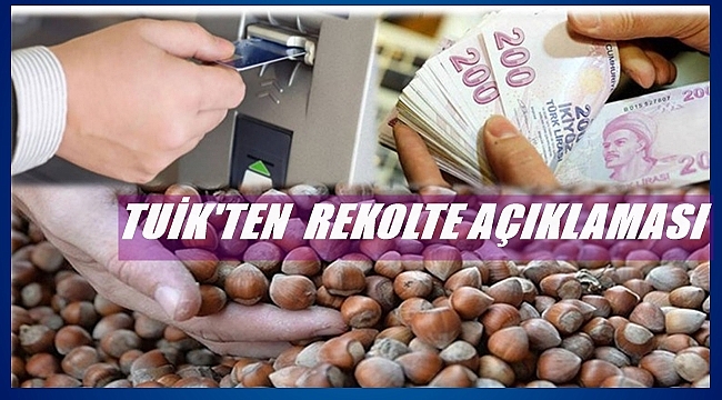 Fındıkta 2018 rekoltesi ne kadar oldu