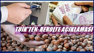 Fındıkta 2018 rekoltesi ne kadar oldu