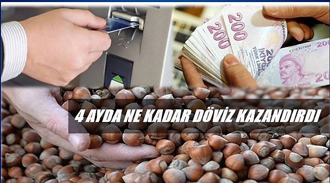 Fındıktan elde edilen döviz azalıyor