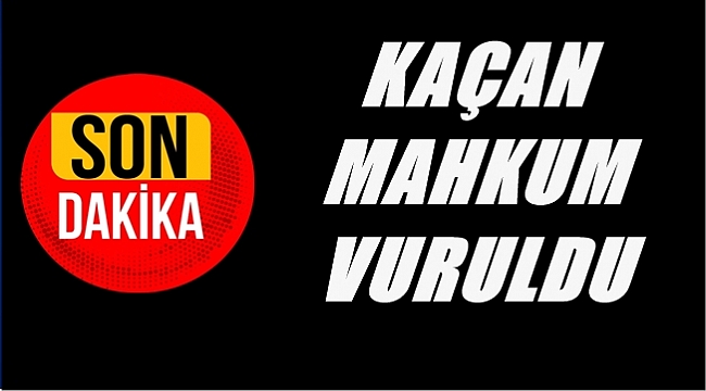 Kaçmaya çalıştı vuruldu