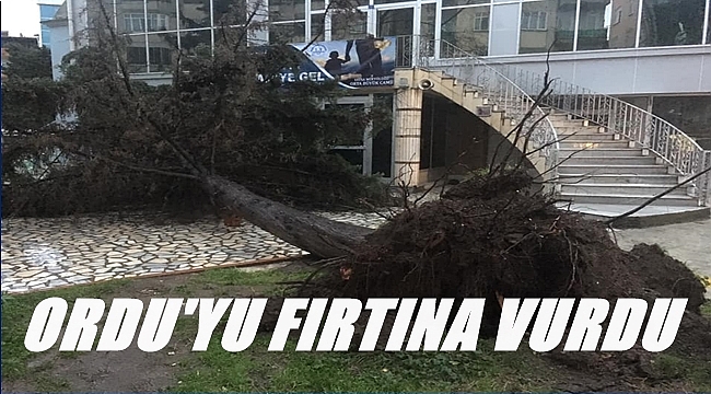 Ordu'da fırtına etkili oldu