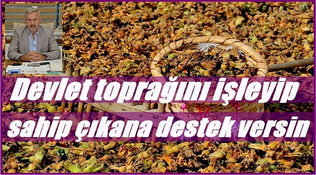 Şenocak: Fındıkta destekleme modeli değişmeli