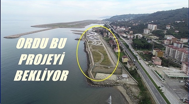 Türkiye'nin en tatlı projesi gerçekleşiyor