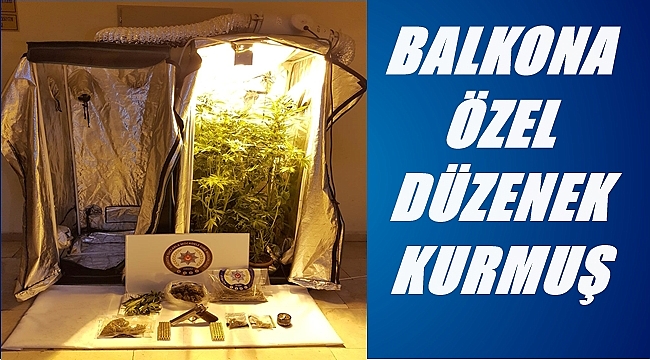 Tutuklanıp cezaevine gönderildi