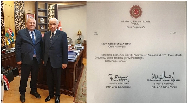 Bahçeli'den Enginyurt'a önemli görev