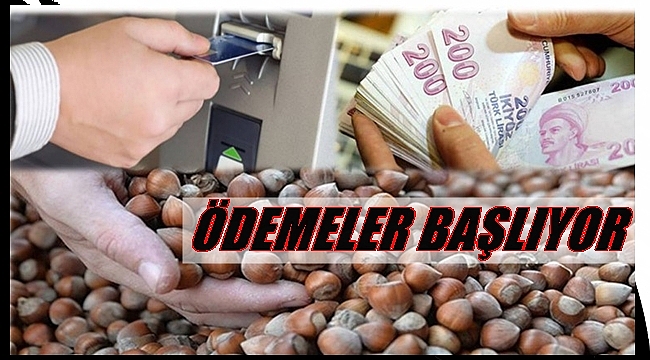 Destekleme ödemeleri hesaba yattı