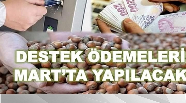 Ordu'da 119 bin üreticiye ödeme yapılacak