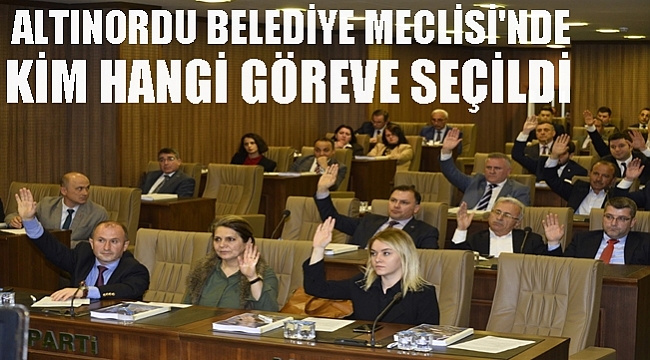 GÖREV ALANLARIN TAM LİSTESİ