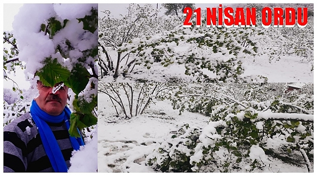 Kar yağdı fındık üreticisinin uykusu kaçtı