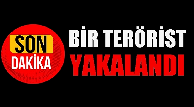 Güvenlik güçleri darbe üstüne darbe vuruyor