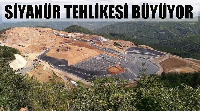 Şirket kapasite artırımına gidiyor