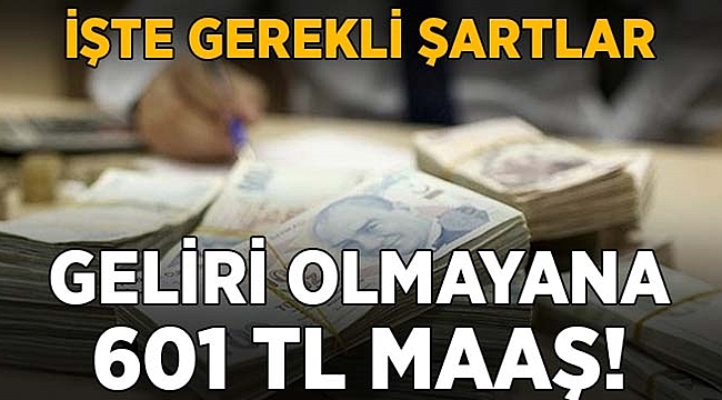 Geliri olmayana 601 TL maaş