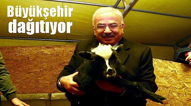 Güler: Bu proje kazanç kapısı olacak